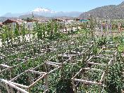 Hobi Bahçesi Kira Bedellerinde Yüzde 50 İndirim Yapıldı