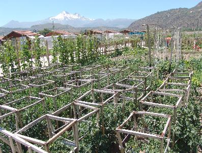 Hobi Bahçesi Kira Bedellerinde Yüzde 50 İndirim Yapıldı
