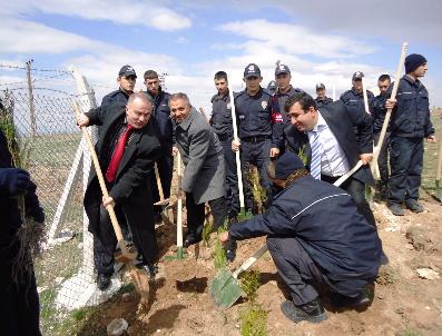 MUSTAFA TAŞ - Kırşehir İl Özel İdaresi 50 Bin Fidanı Toprak‘la Buluşturdu