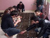 Şiran Meslek Yükseokulu’Nda “Organik Domates” Yetiştiriciliği