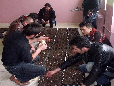 Şiran Meslek Yükseokulu’Nda “Organik Domates” Yetiştiriciliği