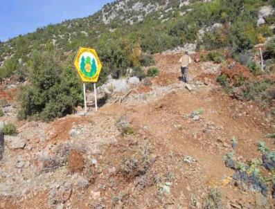 ÇEVRE VE ORMAN BAKANLıĞı - Bal Ormanlarının Sayısı Artıyor