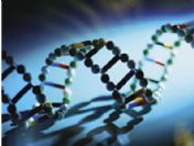 DNA günü Türkiye'de 25 Nisan tarihinde kutlanacak