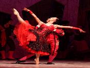 Antdob Sahnesinde Dans Şöleni