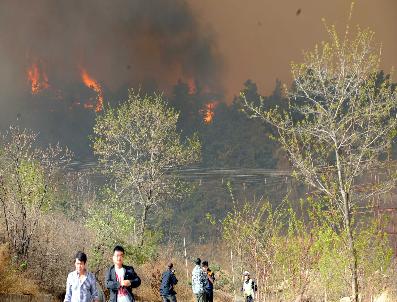 SHANDONG - Çin’De Orman Yangını