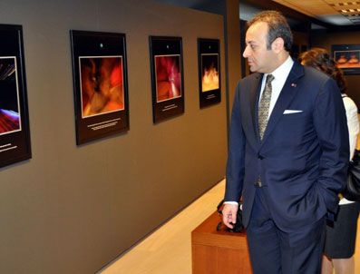 FRANSA SENATOSU - Egemen Bağış YSK kararını değerlendirdi