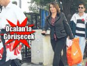 Aysel Tuğluk Öcalan'la görüşecek