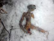 Rusya‘da Uzaylı Cesedi İddiası