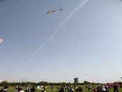 Engelli Olmadıklarını Gösterdiler