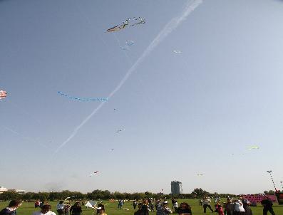 HAKKı DEVELI - Engelli Olmadıklarını Gösterdiler