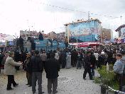 Bolvadin‘de 5 Bin Çam Fidanı Dağıtıldı