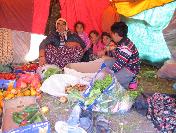 15 Lira Gündelik İçin Çadırlarda Yaşam Mücadelesi