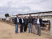 Amerika‘dan 200 Baş İthal Hayvan Getirildi