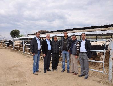 Amerika‘dan 200 Baş İthal Hayvan Getirildi