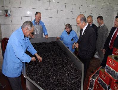 BEDRETTİN YILDIRIM - Vali Harput Orhangazili Üreticilerle Görüştü