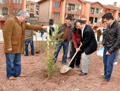 Başkan Sakallı, Hukukçularla Fidan Dikti