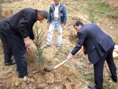 Sungurlu‘nun Kemallı Köyünde Hatıra Ormanı Oluşturuldu