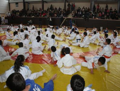 SAMI AYDıN - Kocaeli’Nde Judo Şenliği Başladı
