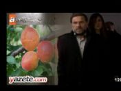 Kurtlar Vadisi Pusu'da Malatya Kayısısı