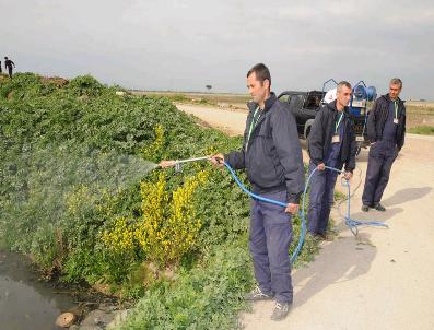 EKREM AKKAYA - Manisa‘da İlaçlama Erken Başladı