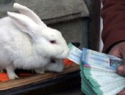 9 Nisan 2011 tarihli Milli Piyango sonuçları