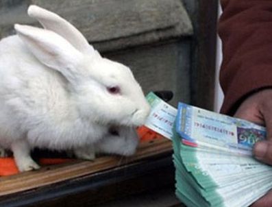 9 Nisan 2011 tarihli Milli Piyango sonuçları