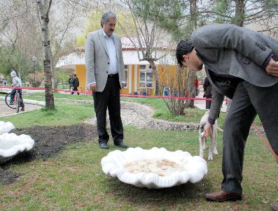 DURMUŞ KÜÇÜK - Belediye Sokak Hayvanlarına Suluk Yapıldı