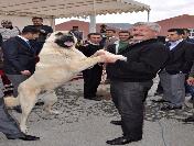 Beter Köpek Fuarın İlgi Odağı Oldu