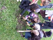 Degder Ağaç Dikti…