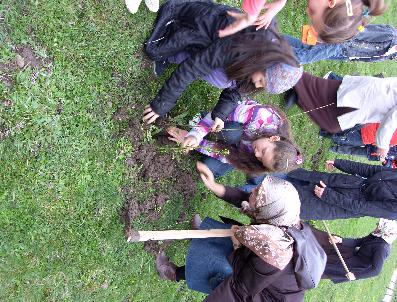 Degder Ağaç Dikti…