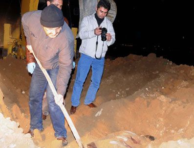 FERTEK - Niğde'de tüyler ürperten cinayet