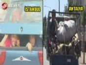 Canlarını hiçe saydılar