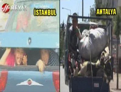 Canlarını hiçe saydılar