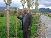 Şeyhler Belediyesinden Ağaçlandırma Çalışmaları