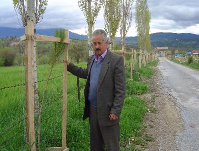 Şeyhler Belediyesinden Ağaçlandırma Çalışmaları