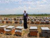 Dörtyol Kaymakamlığı‘ndan Arıcılara Kovan Desteği