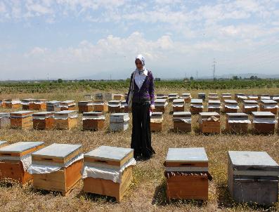 Dörtyol Kaymakamlığı‘ndan Arıcılara Kovan Desteği