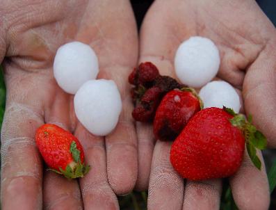 DEMIRCILI - Silifke‘de Dolu Yağışı
