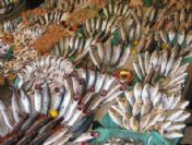 Av yasağı tezgahlardaki balık fiyatlarını artırdı