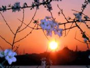 Bahar ne zaman gelecek?