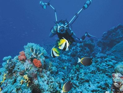 BODRUM KALESI - Su altı fotoğraf yarışması Bodrum'da
