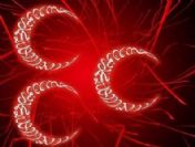 MHP 2.kaset skandalından sonra yeni kaset görüntüleri! (Yeni MHP kasetleri)