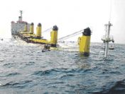 Ne olur bizi kurtarın!