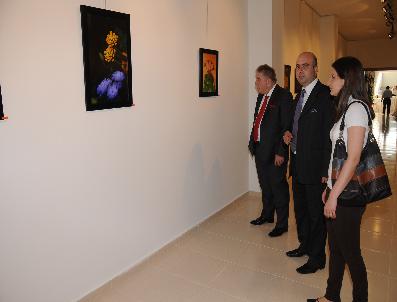 NECATI ÇETINKAYA - Gazeteci Kırdök‘ün Kişisel Sergisi Açıldı