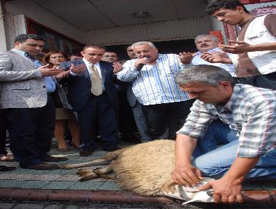 ALİ UZUNIRMAK - ‘Püskevit’ Seçim Propagandası Oldu