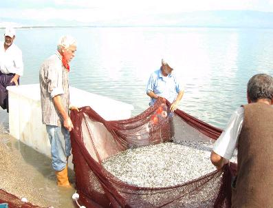 NARLıCA - İznik Gölü‘nde Balıkçılar Yarın Vira Bismillah Diyecek