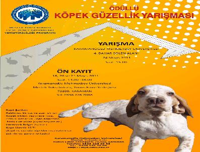 ÇEVRE VE ORMAN İL MÜDÜRLÜĞÜ - Karaman Kmü‘de Köpek Güzellik Yarışması Yapılacak
