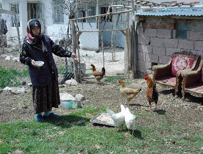 57 Yaşından Sonra 4 Kitap Yazdı