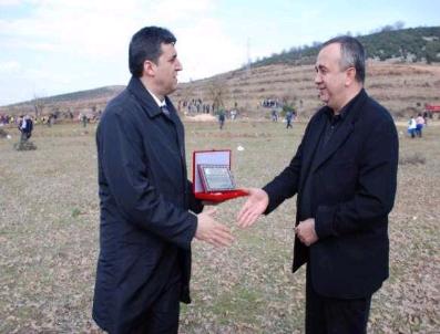 DAĞDERE - Gördes‘te 200 Bin Fidan Toprakla Buluştu