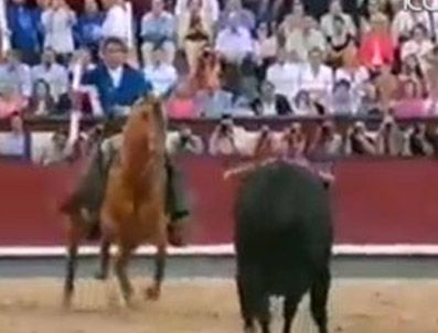 Boğayla adeta dans ediyor